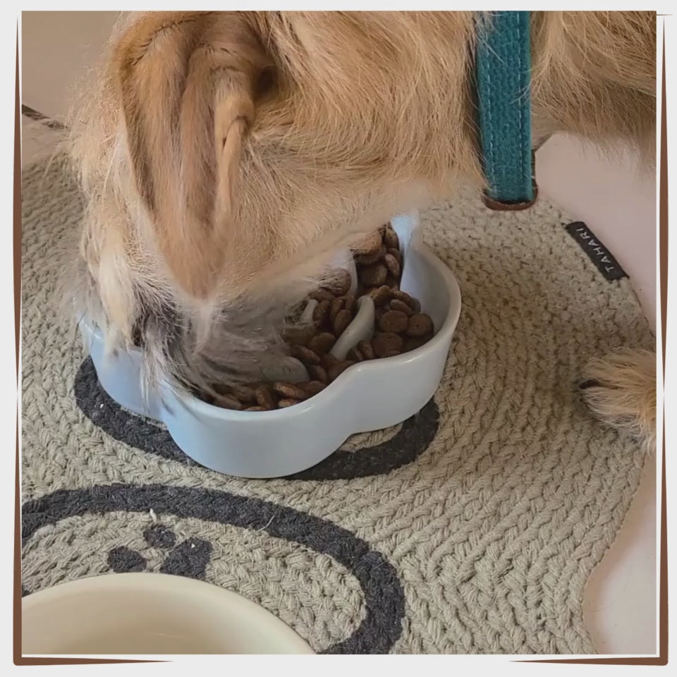 Slow Feeder Dog Bowl - Flower