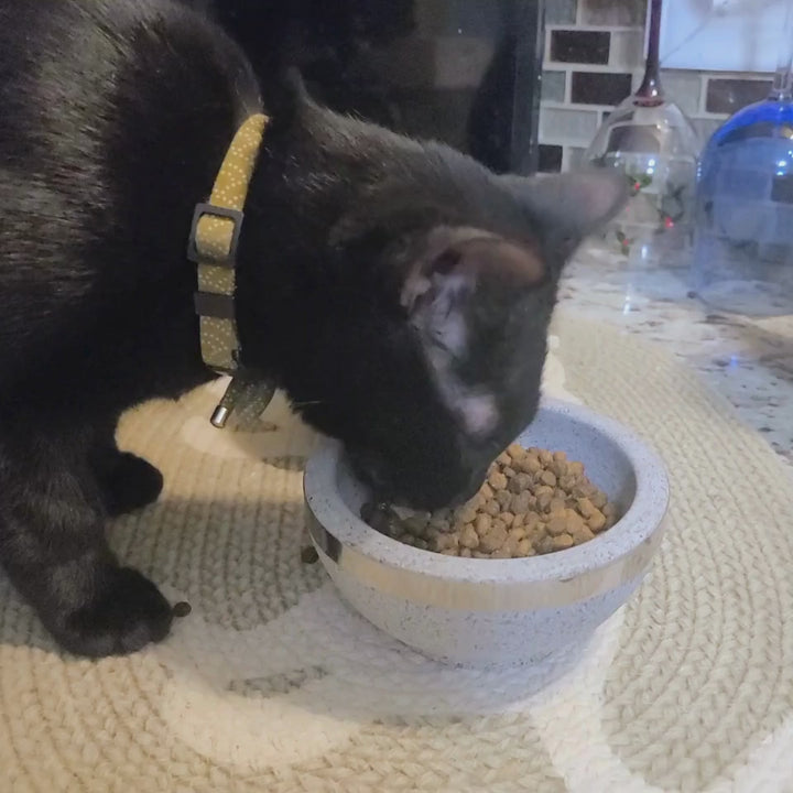 Natural Stone Cat Bowl