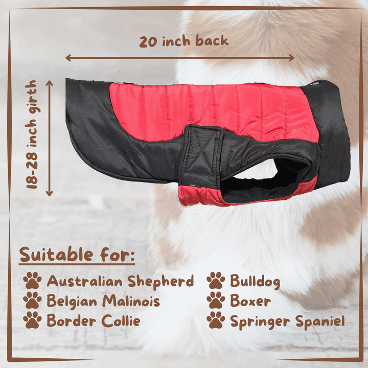 Dog Coat Silver Paw Black and Red Measurements