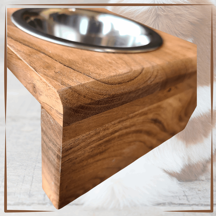 Dog Bowls Set with Natural Wood Station