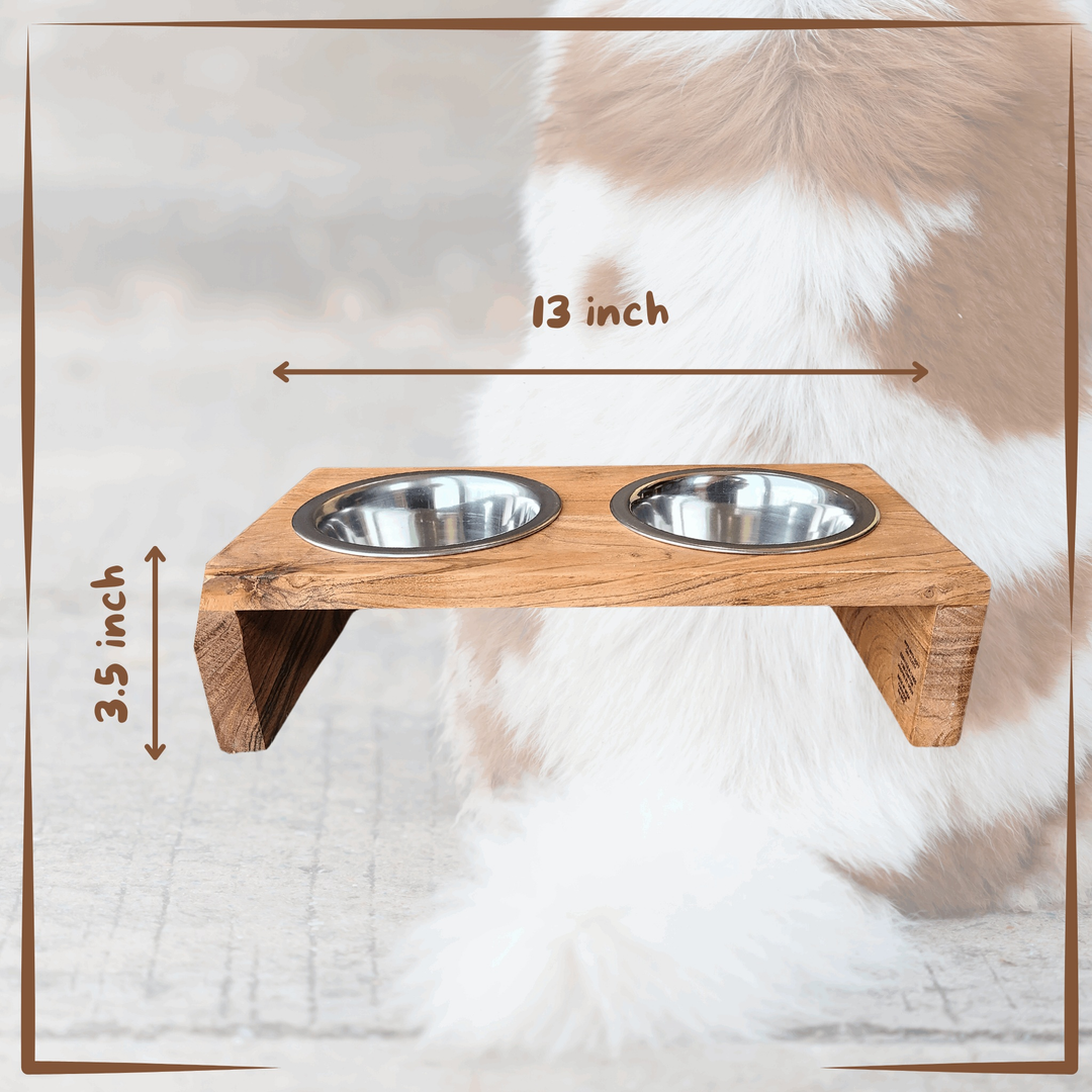 Dog Bowls Set with Natural Wood Station