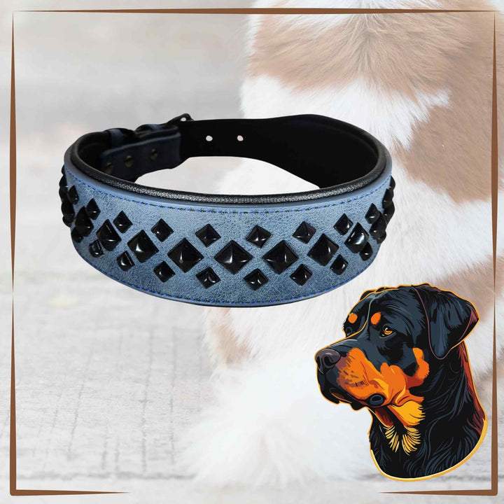 Studded Dog Collar L Blue