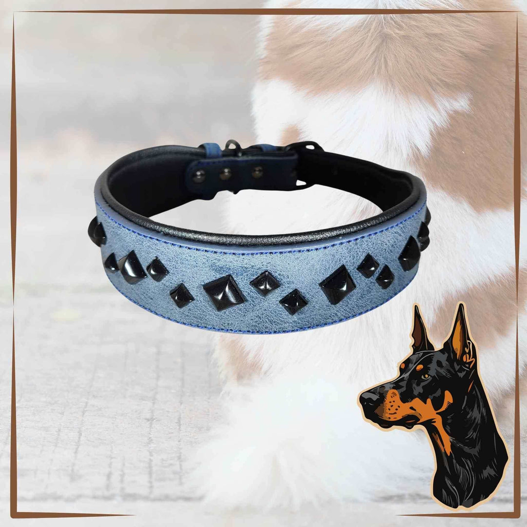 Studded Dog Collar M Blue