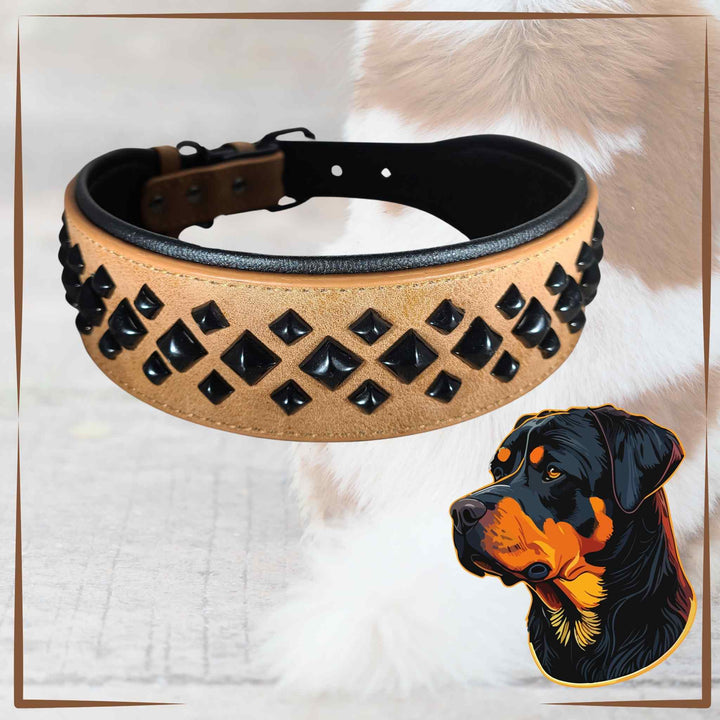 Studded Dog Collar L Brown