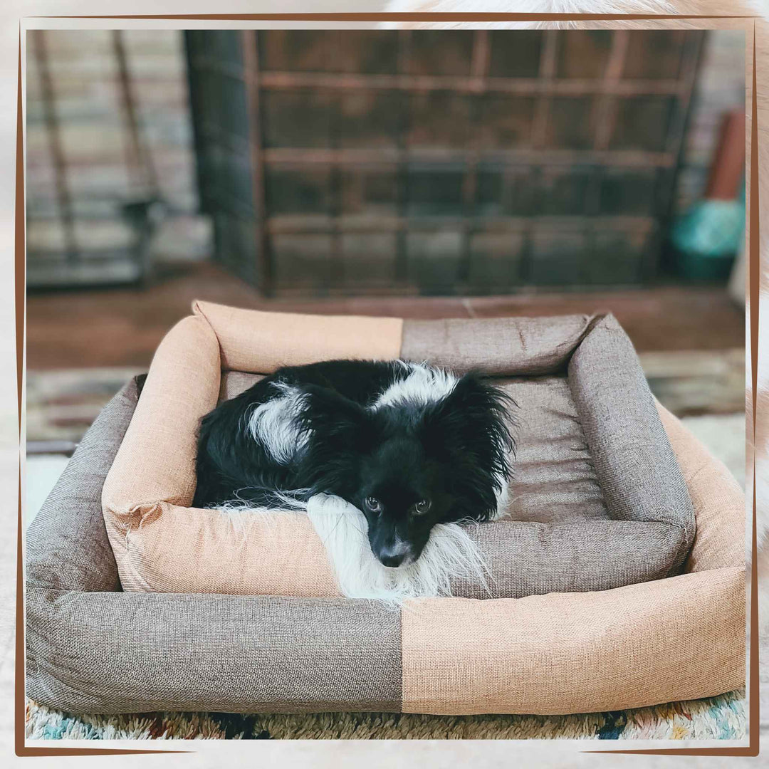 Two-Toned Dog Bed