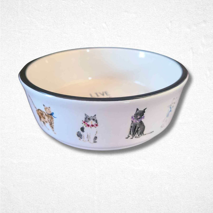 Cat Bowl - Standard - Watercolor Collection